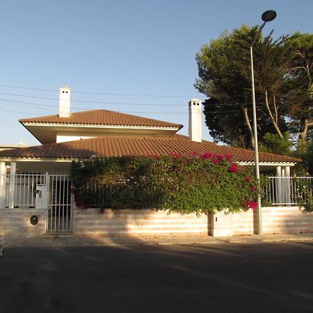 Go Pt - Private Challet With Swimming Pool And Garden Parede Zewnętrze zdjęcie
